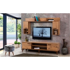 Beşiktaş Tv ünitesi